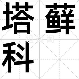 塔藓科