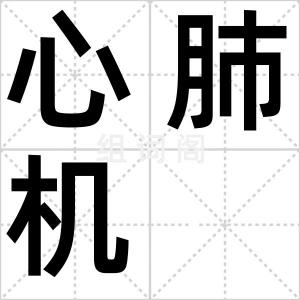 心肺机
