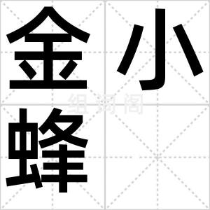 金小蜂
