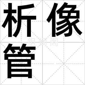 析像管
