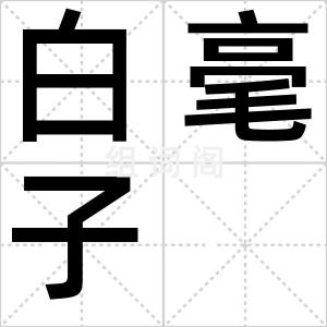 白毫子