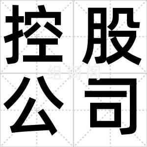 控股公司