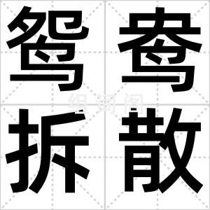 鸳鸯拆散团