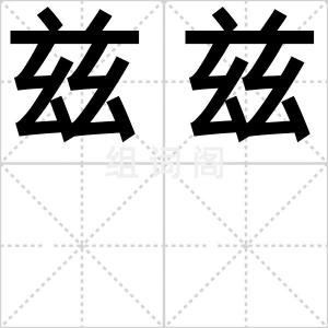 兹兹