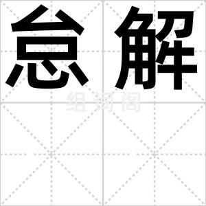 怠解