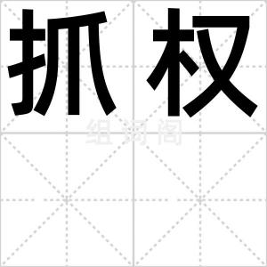 抓权