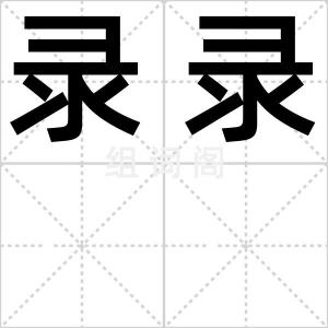 录录