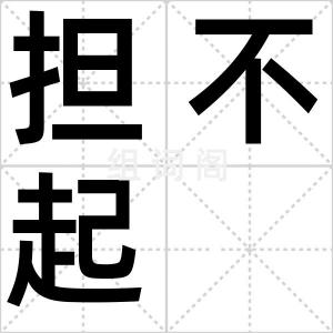 担不起