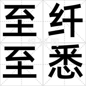 至纤至悉
