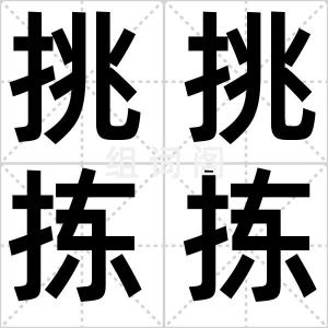 挑挑拣拣