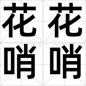 花花哨哨