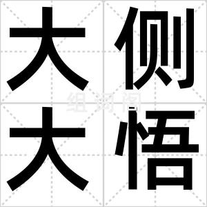 大侧大悟