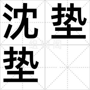 沈垫垫