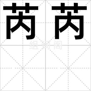 芮芮