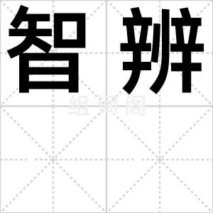 智辨