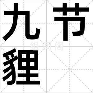 九节貍