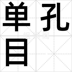 单孔目