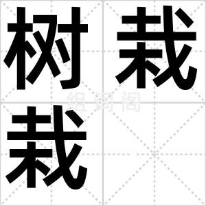 树栽栽