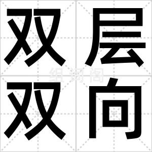 双层双向