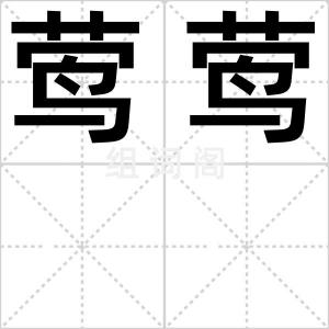 莺莺