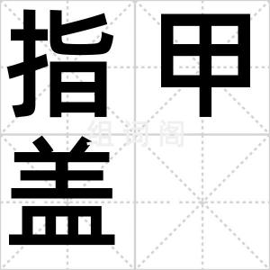 指甲盖