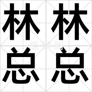 林林总总