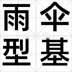 雨伞型基金