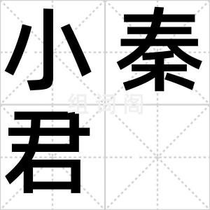 小秦君