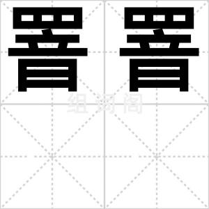 罯罯