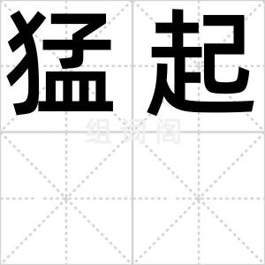猛起