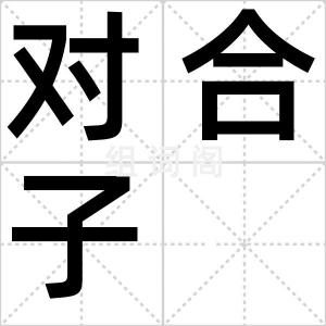 对合子