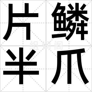 片鳞半爪