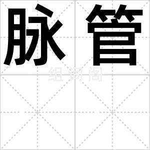脉管