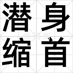 潜身缩首