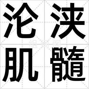沦浃肌髓
