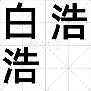 白浩浩