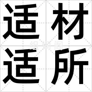 适材适所