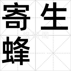 寄生蜂