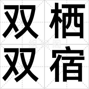 双栖双宿