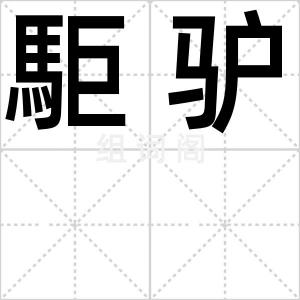 駏驴
