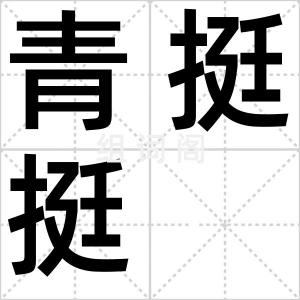 青挺挺