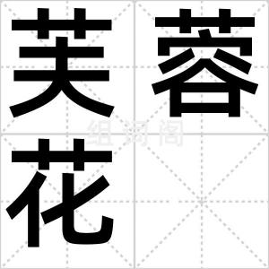 芙蓉花
