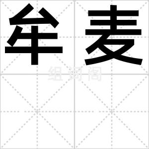 牟麦