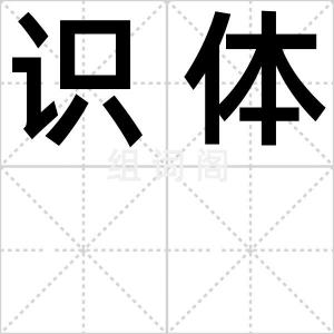 识体