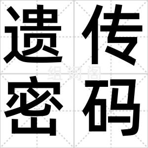 遗传密码