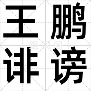 王鹏诽谤案