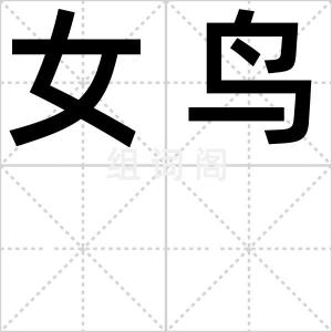 女鸟