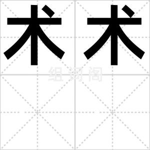 术术