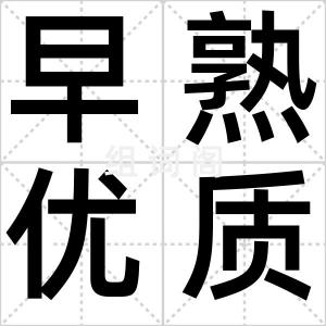 早熟优质女