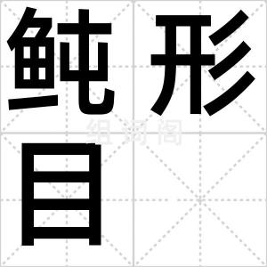 鲀形目